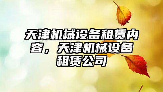 天津機械設(shè)備租賃內(nèi)容，天津機械設(shè)備租賃公司