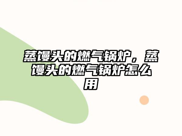 蒸饅頭的燃?xì)忮仩t，蒸饅頭的燃?xì)忮仩t怎么用