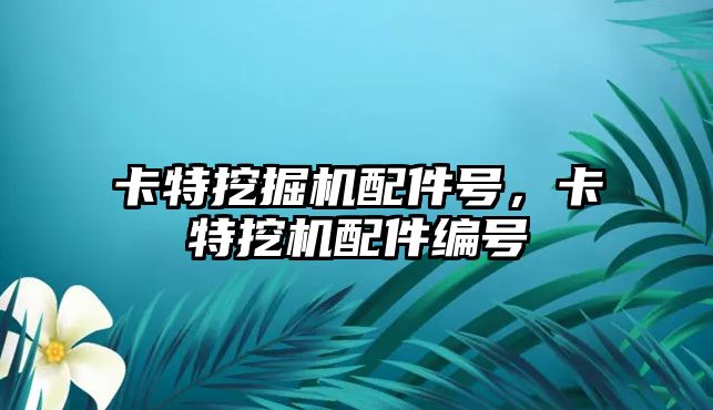 卡特挖掘機(jī)配件號，卡特挖機(jī)配件編號