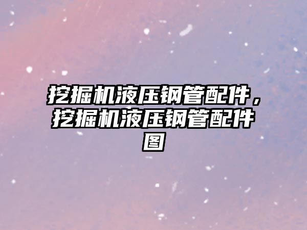 挖掘機液壓鋼管配件，挖掘機液壓鋼管配件圖