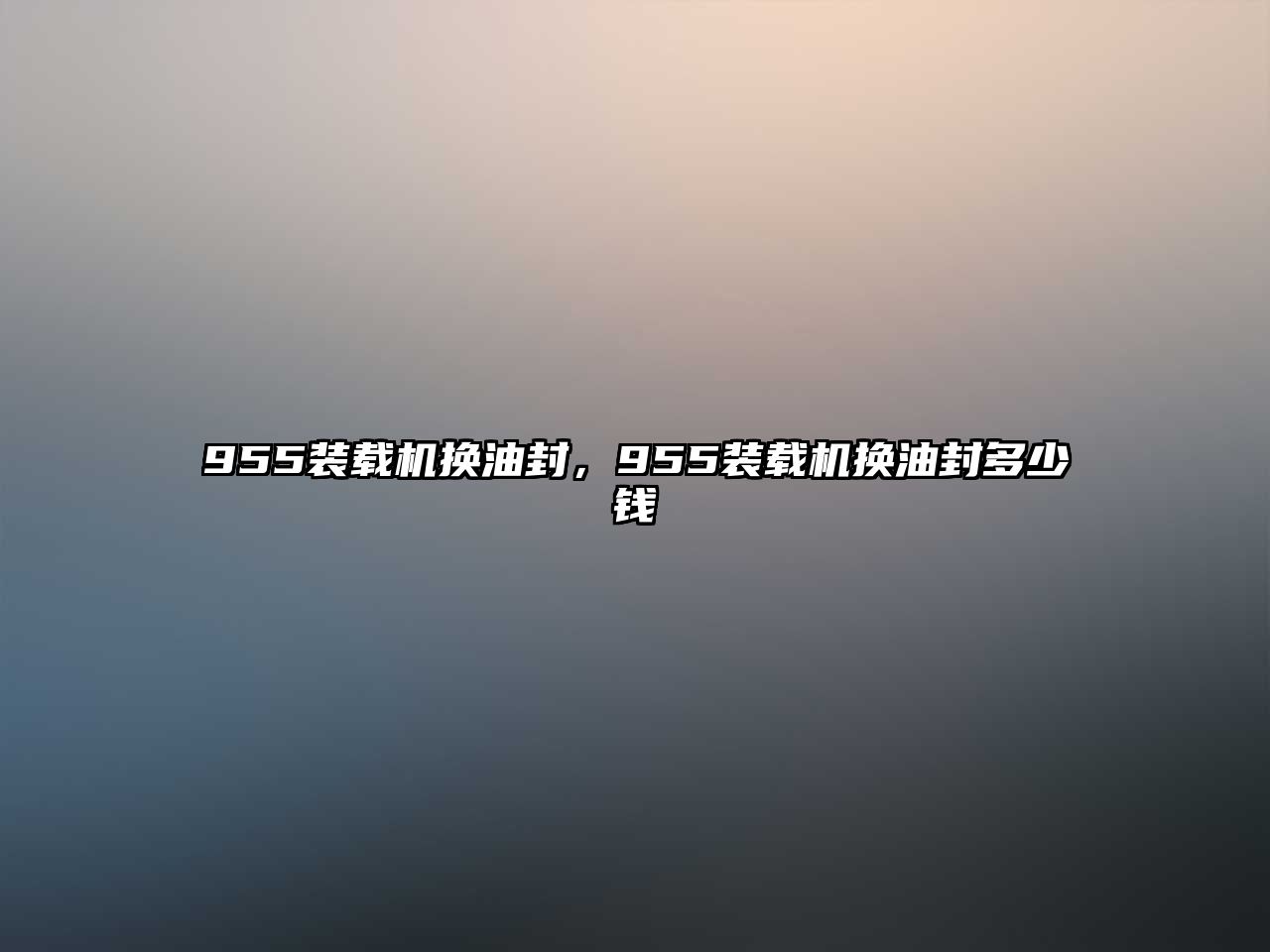955裝載機換油封，955裝載機換油封多少錢