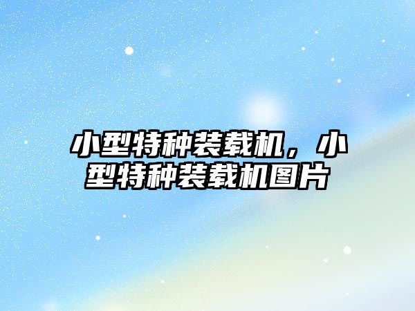 小型特種裝載機(jī)，小型特種裝載機(jī)圖片