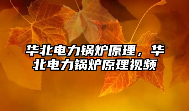 華北電力鍋爐原理，華北電力鍋爐原理視頻
