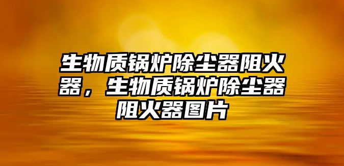 生物質(zhì)鍋爐除塵器阻火器，生物質(zhì)鍋爐除塵器阻火器圖片
