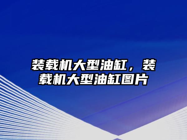 裝載機大型油缸，裝載機大型油缸圖片