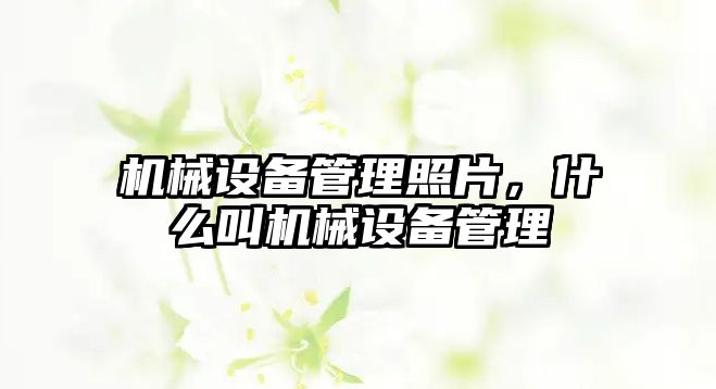 機械設備管理照片，什么叫機械設備管理
