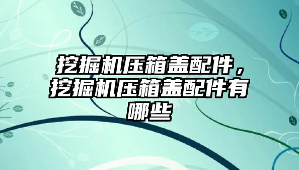 挖掘機(jī)壓箱蓋配件，挖掘機(jī)壓箱蓋配件有哪些