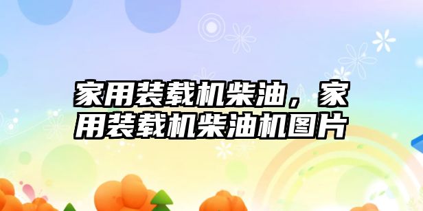 家用裝載機(jī)柴油，家用裝載機(jī)柴油機(jī)圖片