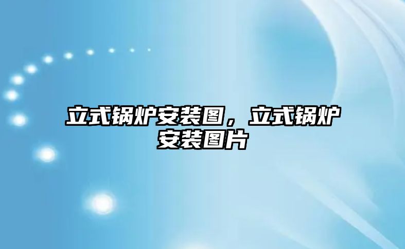 立式鍋爐安裝圖，立式鍋爐安裝圖片