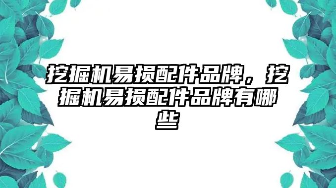 挖掘機(jī)易損配件品牌，挖掘機(jī)易損配件品牌有哪些
