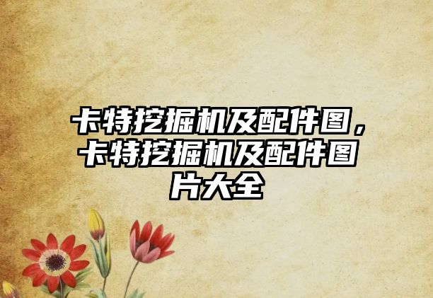 卡特挖掘機(jī)及配件圖，卡特挖掘機(jī)及配件圖片大全