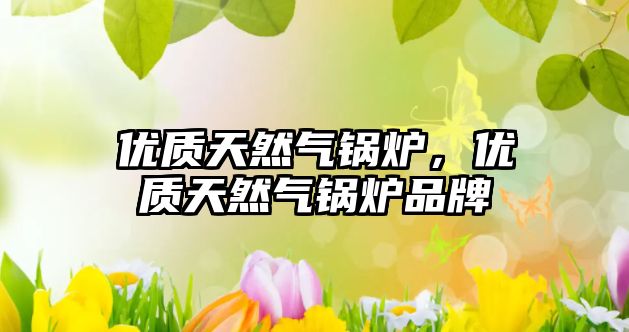 優(yōu)質(zhì)天然氣鍋爐，優(yōu)質(zhì)天然氣鍋爐品牌