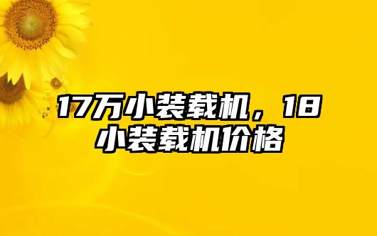 17萬(wàn)小裝載機(jī)，18小裝載機(jī)價(jià)格