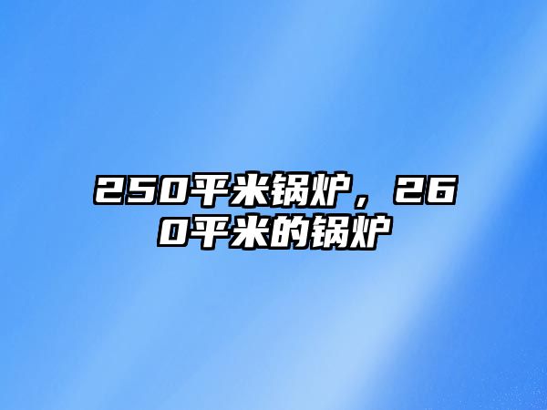 250平米鍋爐，260平米的鍋爐