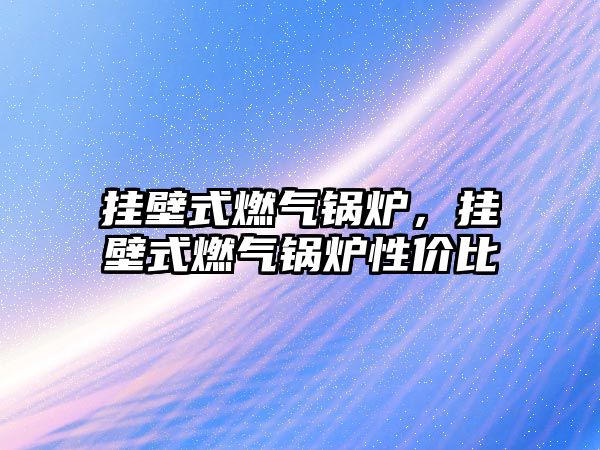 掛壁式燃?xì)忮仩t，掛壁式燃?xì)忮仩t性價(jià)比