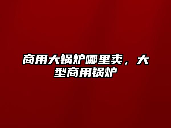 商用大鍋爐哪里賣，大型商用鍋爐