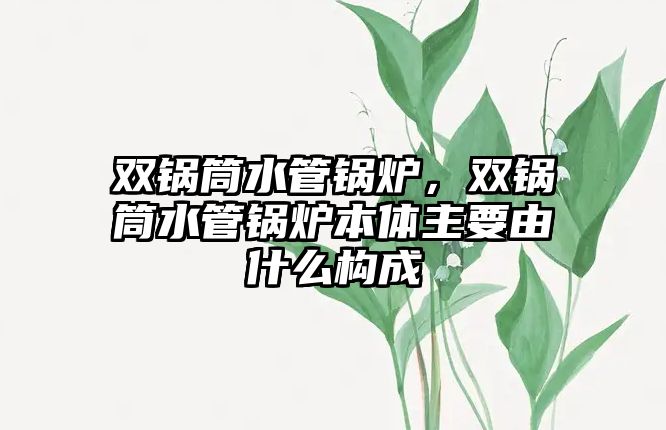 雙鍋筒水管鍋爐，雙鍋筒水管鍋爐本體主要由什么構(gòu)成
