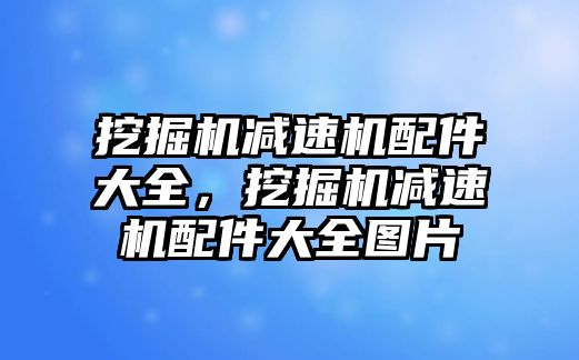 挖掘機(jī)減速機(jī)配件大全，挖掘機(jī)減速機(jī)配件大全圖片