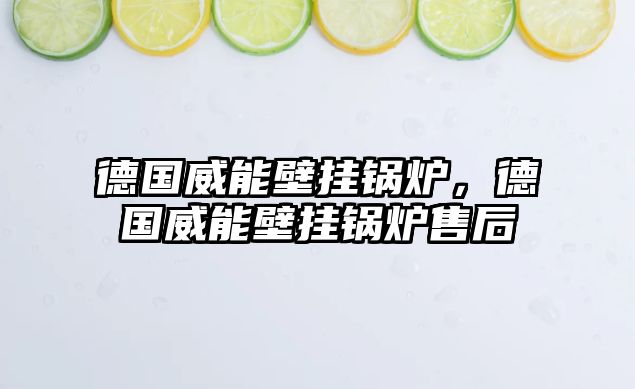 德國(guó)威能壁掛鍋爐，德國(guó)威能壁掛鍋爐售后