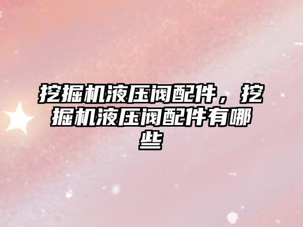 挖掘機液壓閥配件，挖掘機液壓閥配件有哪些