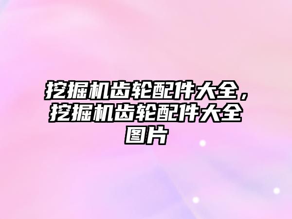 挖掘機齒輪配件大全，挖掘機齒輪配件大全圖片