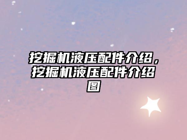 挖掘機(jī)液壓配件介紹，挖掘機(jī)液壓配件介紹圖
