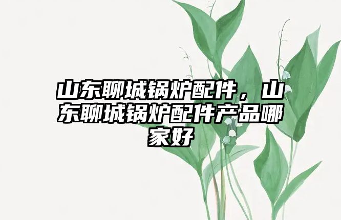 山東聊城鍋爐配件，山東聊城鍋爐配件產(chǎn)品哪家好