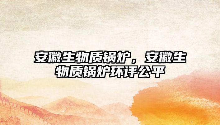 安徽生物質(zhì)鍋爐，安徽生物質(zhì)鍋爐環(huán)評公平