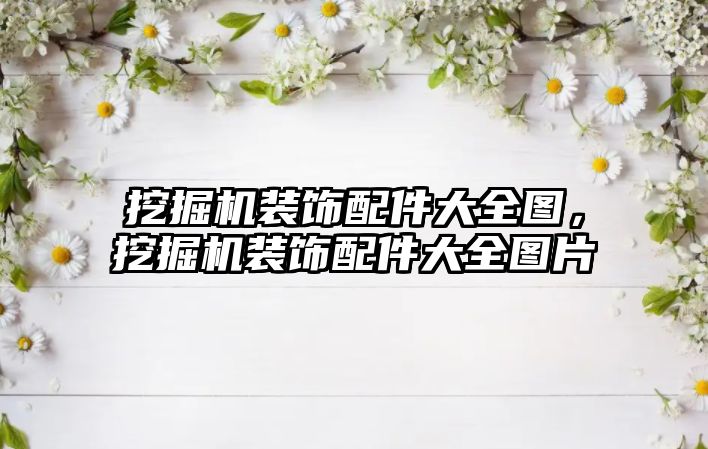 挖掘機(jī)裝飾配件大全圖，挖掘機(jī)裝飾配件大全圖片
