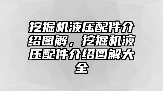 挖掘機(jī)液壓配件介紹圖解，挖掘機(jī)液壓配件介紹圖解大全