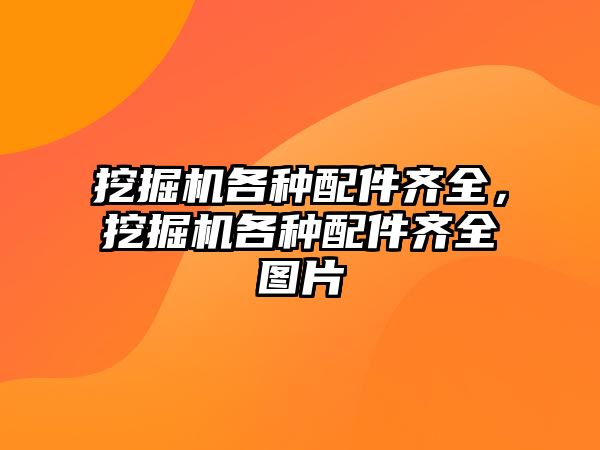 挖掘機(jī)各種配件齊全，挖掘機(jī)各種配件齊全圖片