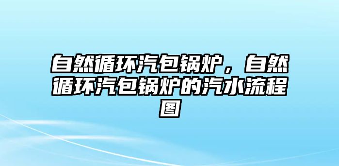 自然循環(huán)汽包鍋爐，自然循環(huán)汽包鍋爐的汽水流程圖