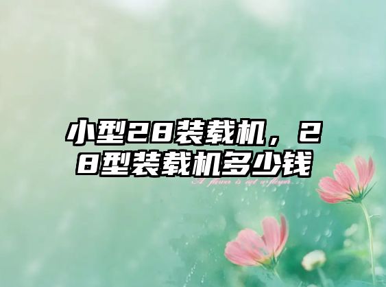 小型28裝載機，28型裝載機多少錢
