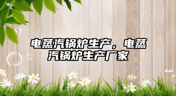 電蒸汽鍋爐生產(chǎn)，電蒸汽鍋爐生產(chǎn)廠家