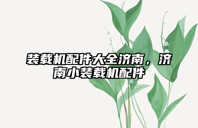裝載機(jī)配件大全濟(jì)南，濟(jì)南小裝載機(jī)配件