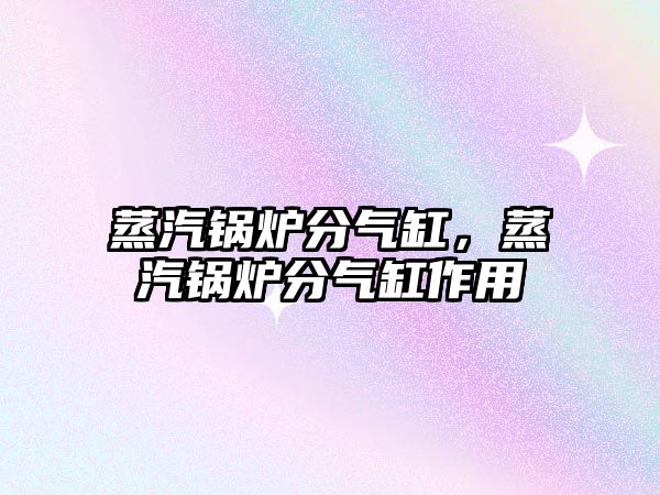 蒸汽鍋爐分氣缸，蒸汽鍋爐分氣缸作用