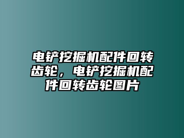 電鏟挖掘機(jī)配件回轉(zhuǎn)齒輪，電鏟挖掘機(jī)配件回轉(zhuǎn)齒輪圖片