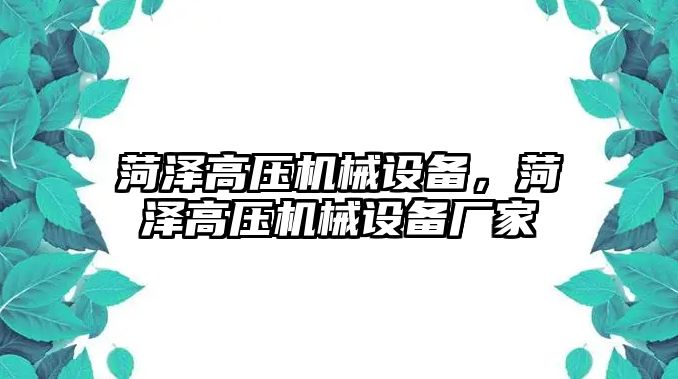菏澤高壓機(jī)械設(shè)備，菏澤高壓機(jī)械設(shè)備廠家