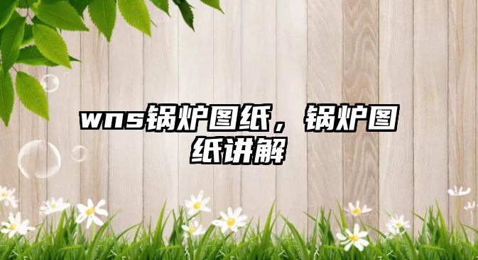 wns鍋爐圖紙，鍋爐圖紙講解