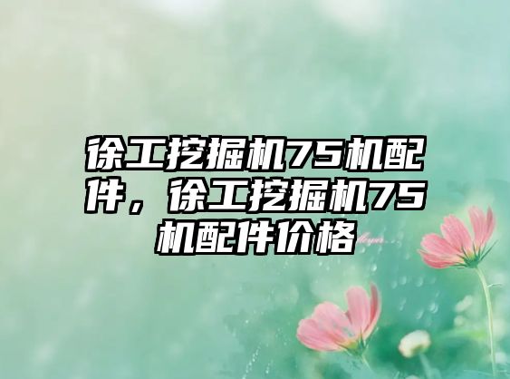 徐工挖掘機75機配件，徐工挖掘機75機配件價格