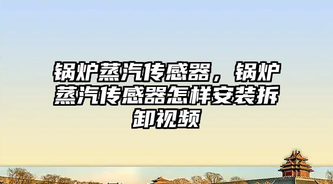鍋爐蒸汽傳感器，鍋爐蒸汽傳感器怎樣安裝拆卸視頻