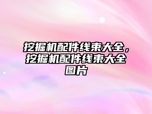 挖掘機(jī)配件線束大全，挖掘機(jī)配件線束大全圖片