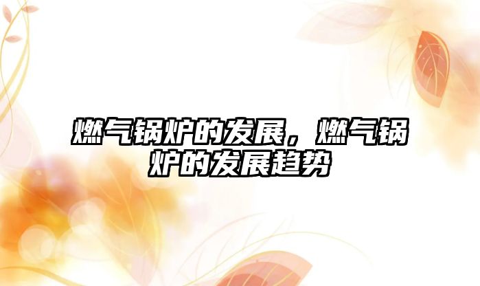 燃?xì)忮仩t的發(fā)展，燃?xì)忮仩t的發(fā)展趨勢(shì)