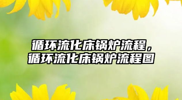 循環(huán)流化床鍋爐流程，循環(huán)流化床鍋爐流程圖