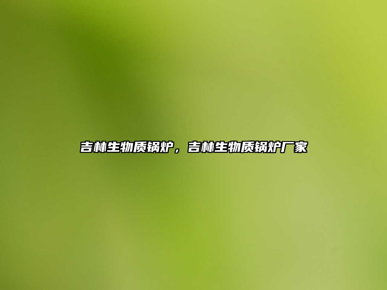 吉林生物質(zhì)鍋爐，吉林生物質(zhì)鍋爐廠家