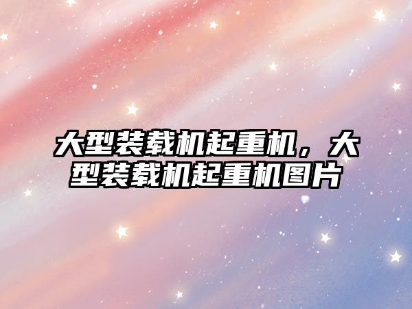 大型裝載機(jī)起重機(jī)，大型裝載機(jī)起重機(jī)圖片