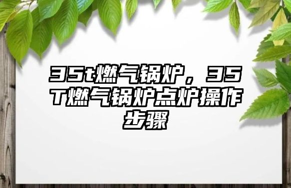 35t燃?xì)忮仩t，35T燃?xì)忮仩t點爐操作步驟
