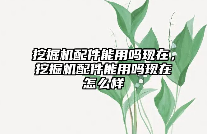 挖掘機(jī)配件能用嗎現(xiàn)在，挖掘機(jī)配件能用嗎現(xiàn)在怎么樣