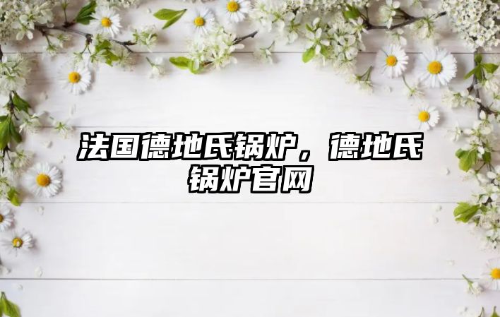 法國德地氏鍋爐，德地氏鍋爐官網(wǎng)