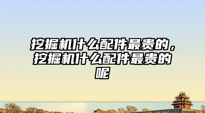 挖掘機(jī)什么配件最貴的，挖掘機(jī)什么配件最貴的呢